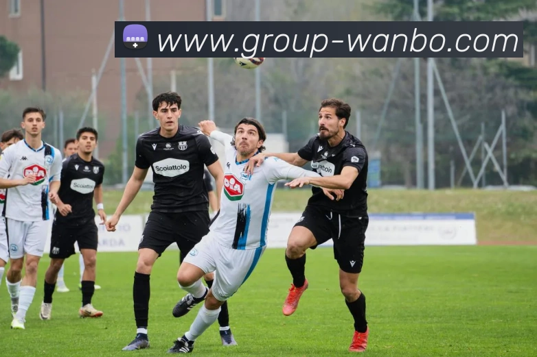 多媒体互动体验