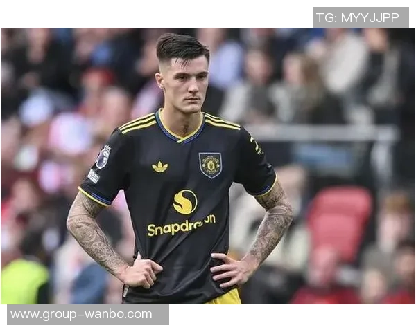 瑞典16岁前锋凯文菲林未在曼联引援名单之中